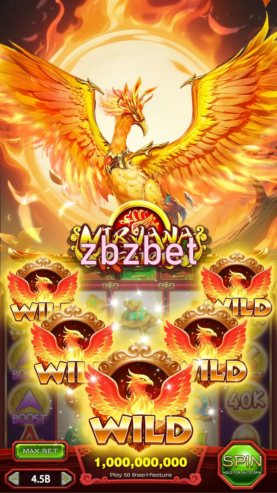 zbzbet লগইন